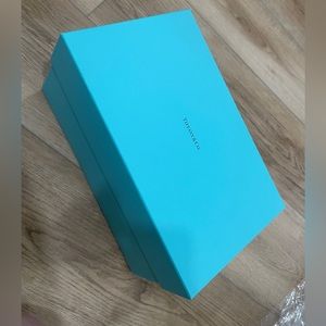 Tiffany & Co. crystal champagne glasses (2) brand new in box